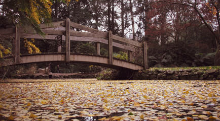 A bridge is a spiritual analogy to travel across chasms. In broad sense, it indicates someone needs...