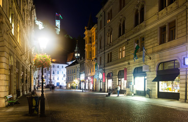 Fototapeta na wymiar Night view of Ljubljana street