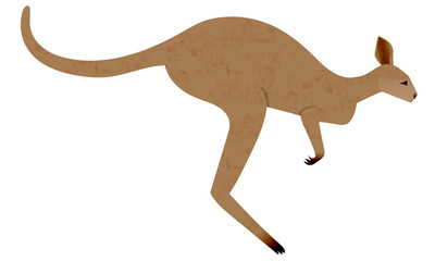 Illustration of a kangaroo seen from the side