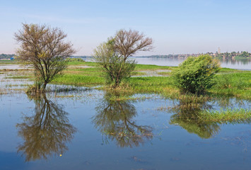 Fototapeta na wymiar Flooded meadows with trees on the river Nile