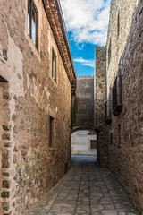Fototapeta na wymiar Streets and houses of the medieval village of Medinaceli in the province of Soria (Spain)