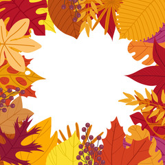 Picture frames made of leaves