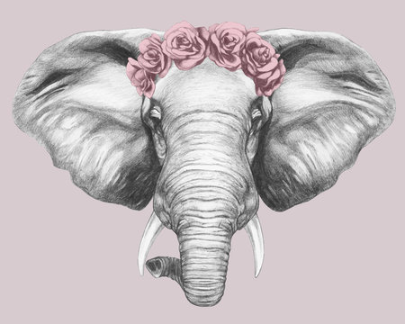Portrait of Elephant with floral head wreath. Hand-drawn illustration.Vector isolated elements.	