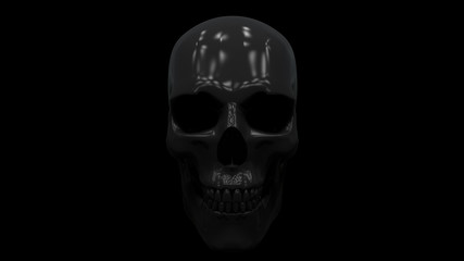 Skeleton skull, x-ray, bones