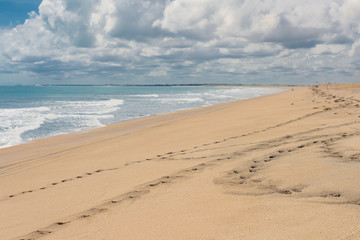 Fototapeta na wymiar Horse footprints on a dune in Brazil