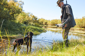 Senior hunter hunt on ducks in autumn, in lake. Dog help him to hunt, man holding duck in hands,...
