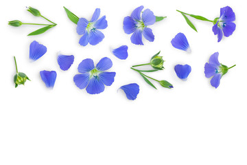 flax flowers or Linum usitatissimum on a white background with copy space for your text. Top view, flat lay