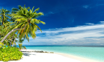 tropikalna rajska plaża z białym piaskiem i palmami kokosowymi - 297287729