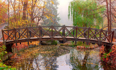 Autumn - The old bridge in the misty park in the morning. Colorful leaves on trees, on the ground and in water.