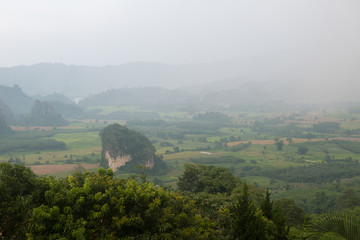Fototapeta na wymiar Magic of fog on mounutain of northern of Thailand