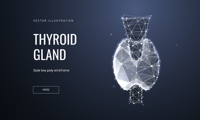 Thyroid gland low poly wireframe landing page template