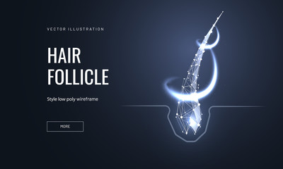 Hair follicle treatment low poly landing page template
