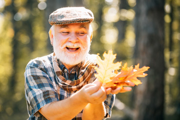 Happy senior man looking at camera. Senior citizen stroll in a park in autumn. Fallen autumn leaves...