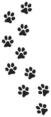 Fototapeta na wymiar Dog paw prints track vector illustration