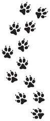Cat paw print track vector illustration