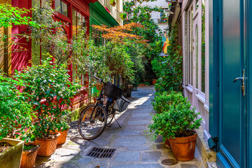 Fototapeta na wymiar Narrow cozy street in Paris, France
