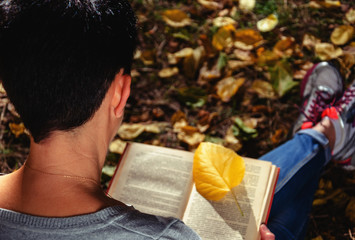 Obraz premium A middle-aged brunette or young woman with a short haircut, dressed in casual clothes, sits in an autumn park and reads a book. Autumn mood. Weekend, leisure, autumn holidays concept. Back view