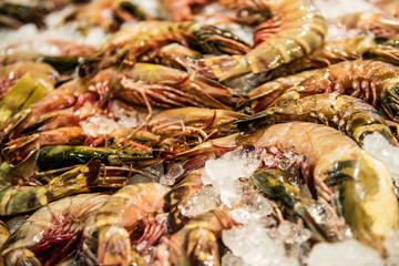 prawns on ice