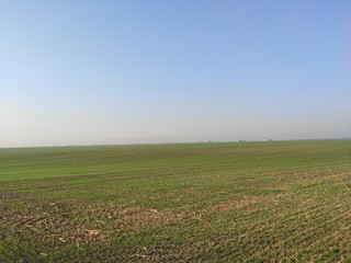 Fototapeta na wymiar Vojvodina Serbia landscape flat arable fertile land in autumn