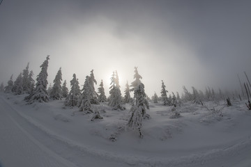 Winter mountains scenery from Krkonoše, Czech republic