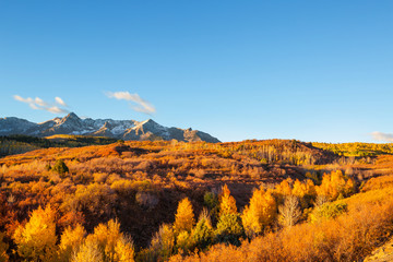 Obraz premium Autumn in Colorado