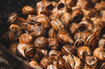 Traditional Mediterranean Snail Recipe. Top view and close up with selectiv focus, tasty and freshly cooked hot snails, smoke is visible.