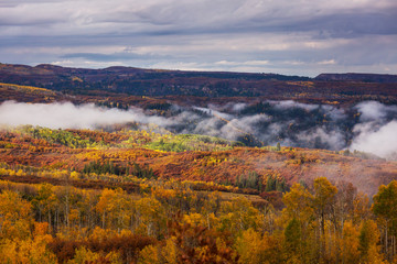 Autumn in Colorado