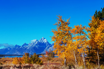Autumn in Grand Teton