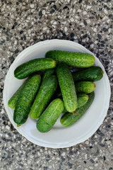 A stack of several fresh green cucumber gherkins in a plate, Sofia, Bulgaria   