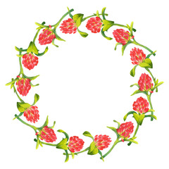 Vector isolated wreath with clover flowers for St. Patrick's Day