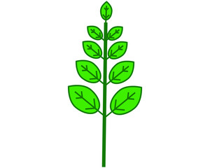 simple icon vector, with  branch with leaves