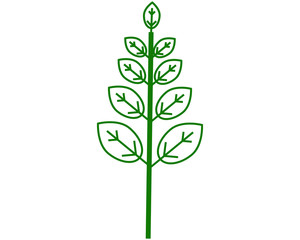 Fototapeta na wymiar simple icon vector, with branch with leaves