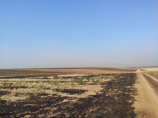 Vojvodina Serbia landscape flat arable fertile land in autumn