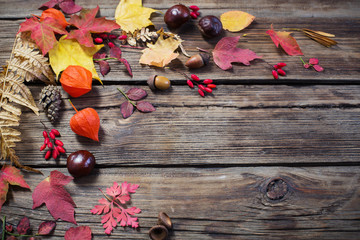 autumn leaves on darrk old wooden background