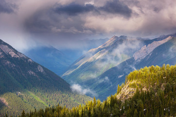 Fototapeta premium Mountains in Washington