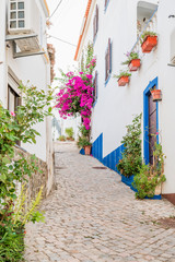 Fototapeta premium Nice treet decorated by flowers in Alcoutim, Algarve, Portugal