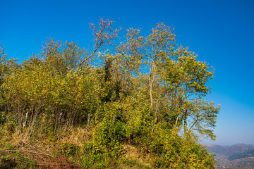 Evening sunshine on a beautiful hill near a small village, with few trees and autumn colors