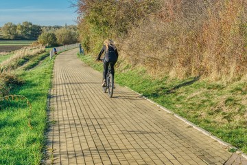 woman riding bicycle in the park