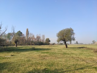 Obraz premium Titel hill Vojvodina Serbia in autumn characteristic landscape with trees