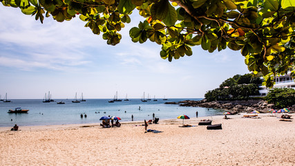 beach with chairs and umbrellas