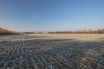 Frozen field texture