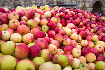 Apples red green pink vnaval on city square. Agriculture, horticulture, and ecology.