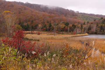 秋田県大沼の紅葉の景色