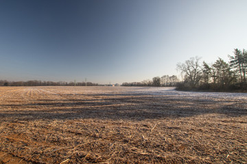 frozen field texture