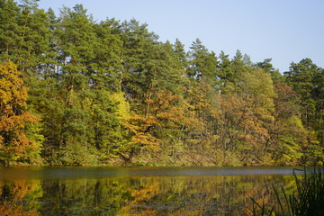 Lake in the autumn forest. Forest lake in the autumn forest. Autumn landscape with a lake and forest.