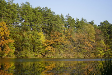 Fototapeta na wymiar Lake in the autumn forest. Forest lake in the autumn forest. Autumn landscape with a lake and forest.