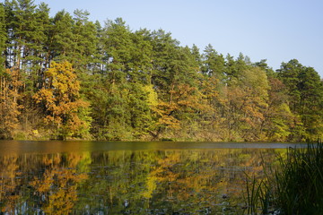 Lake in the autumn forest. Forest lake in the autumn forest. Autumn landscape with a lake and forest.