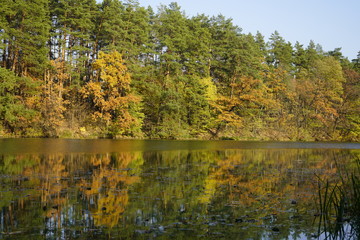 Lake in the autumn forest. Forest lake in the autumn forest. Autumn landscape with a lake and forest.