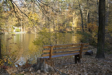 Wooden bench in the autumn forest in front of the forest lake.