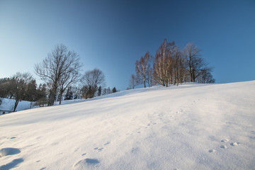 Fototapeta na wymiar Winter land covered with snow
